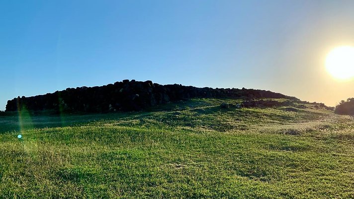 th IMG 1974 th IMG 1974