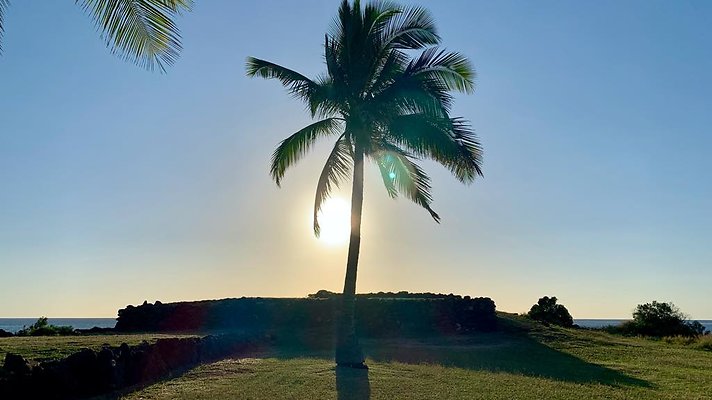 th IMG 1972 th IMG 1972