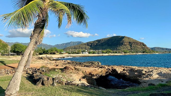 th IMG 1959 th IMG 1959