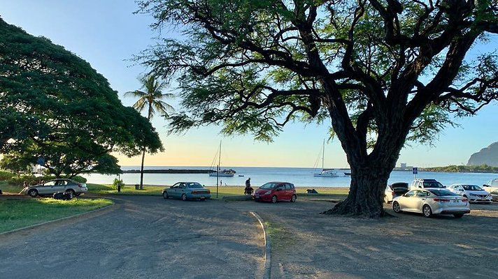 th IMG 1990 th IMG 1990