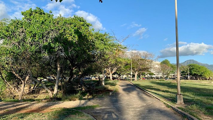 th IMG 1955 th IMG 1955