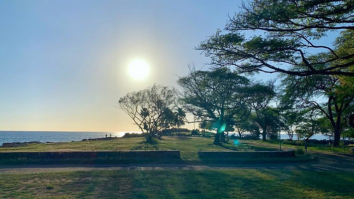 th IMG 1938 th IMG 1938