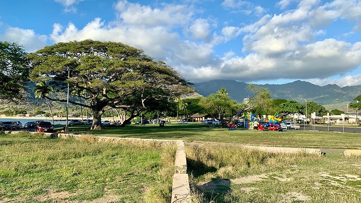 th IMG 1951 th IMG 1951