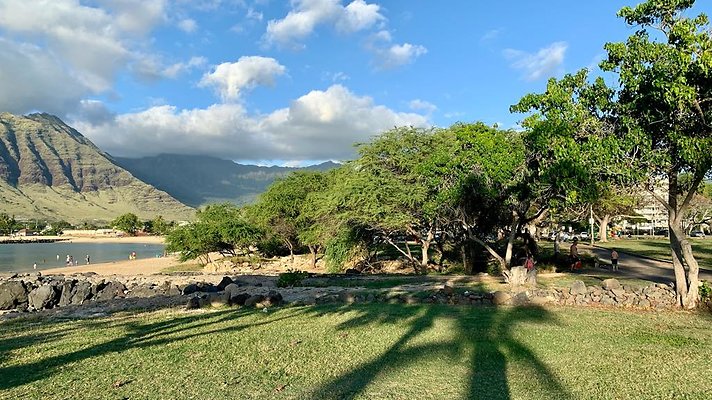 th IMG 1962 th IMG 1962