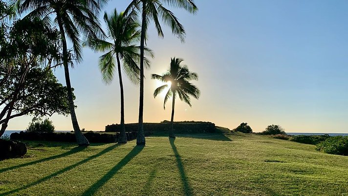 th IMG 1969 th IMG 1969