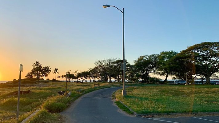 th IMG 2023 th IMG 2023