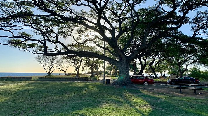 th IMG 1936 th IMG 1936