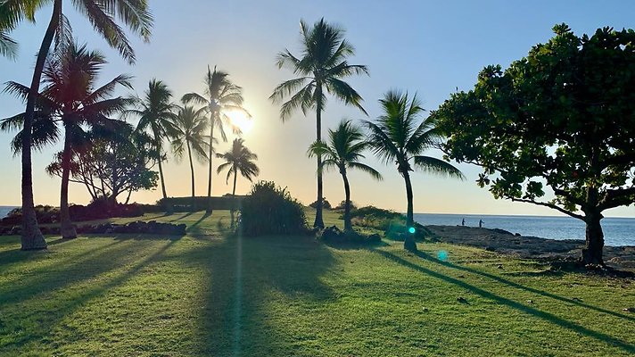 th IMG 1967 th IMG 1967