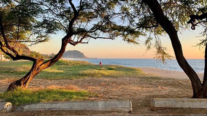 th IMG 2020 th IMG 2020