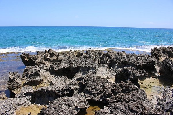 th IMG 6919 th IMG 6919