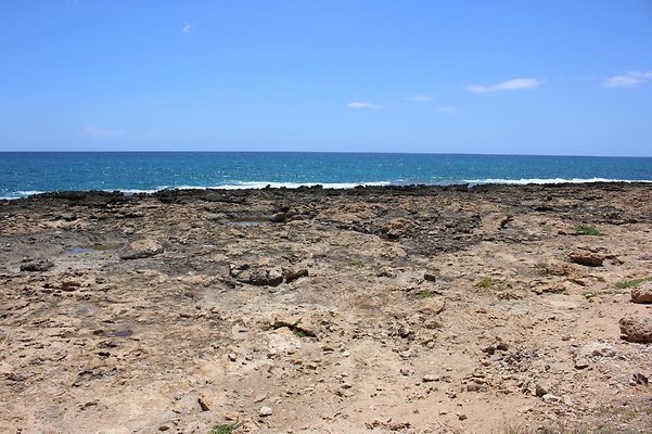 th IMG 6911 th IMG 6911