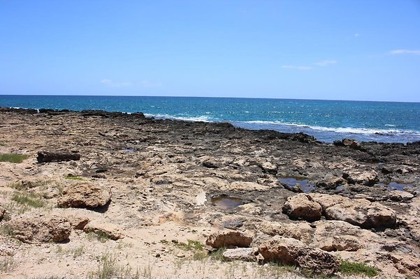 th IMG 6904 th IMG 6904