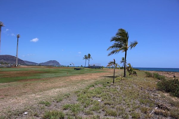 th IMG 6902 th IMG 6902