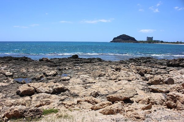 th IMG 6905 th IMG 6905