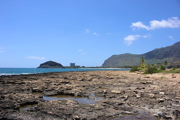 th IMG 6918 th IMG 6918