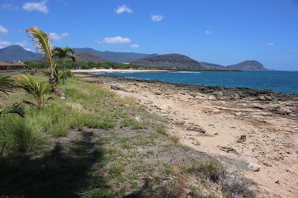 th IMG 6908 th IMG 6908