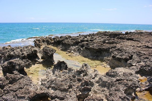 th IMG 6920 th IMG 6920