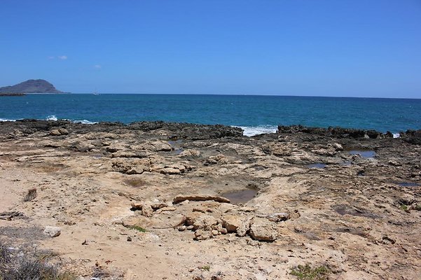 th IMG 6909 th IMG 6909