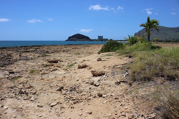 th IMG 6912 th IMG 6912