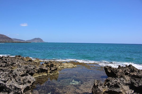 th IMG 6916 th IMG 6916