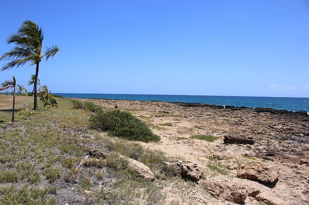 th IMG 6903 th IMG 6903