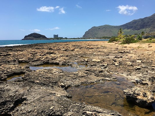 Waianae High School Shoreline 85-322 Farrington Hwy 808.697.9400 Waianae High School Shoreline 85-322 Farrington Hwy 808.697.9400