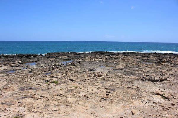 th IMG 6910 th IMG 6910