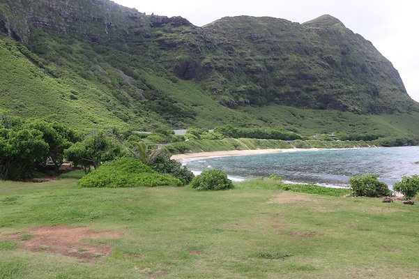 Baby Makapuu Baby Makapuu