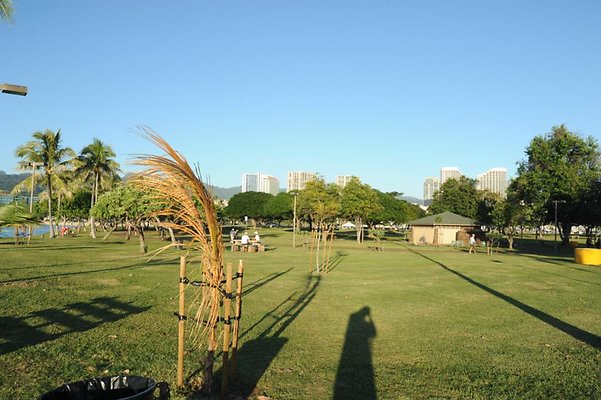 th DSC 9592 th DSC 9592