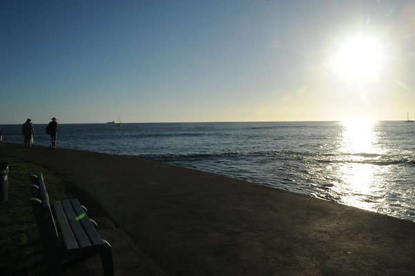 th DSC 9595 th DSC 9595