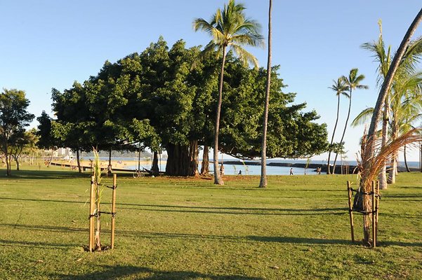 th DSC 9593 th DSC 9593