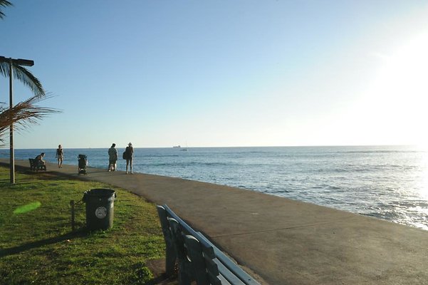 th DSC 9596 th DSC 9596