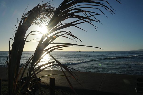 th DSC 9587 th DSC 9587