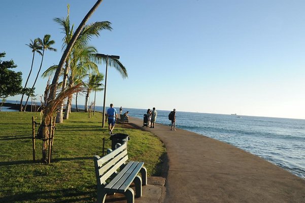 th DSC 9594 th DSC 9594