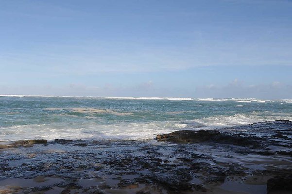 Haleiwa Police Beach 62 Kamehemeha Hwy Tony Morlock 808.382.3817 Haleiwa Police Beach 62 Kamehemeha Hwy Tony Morlock 808.382.3817