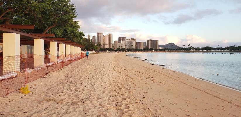 th 20181101 174435 th 20181101 174435