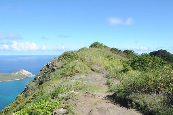 th DSC 8273 th DSC 8273