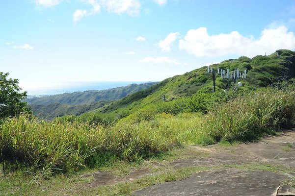 th DSC 8263 th DSC 8263