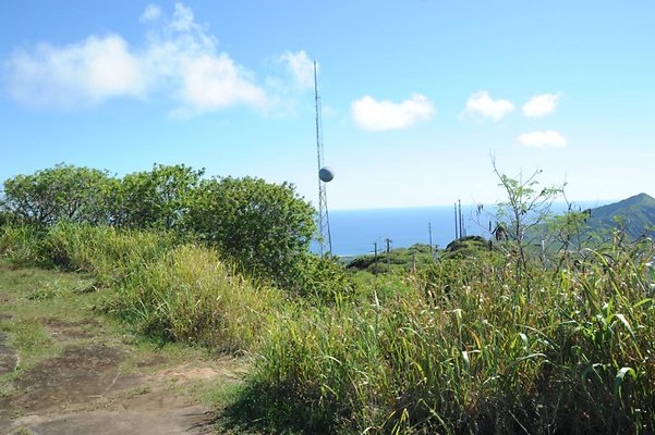 th DSC 8269 th DSC 8269