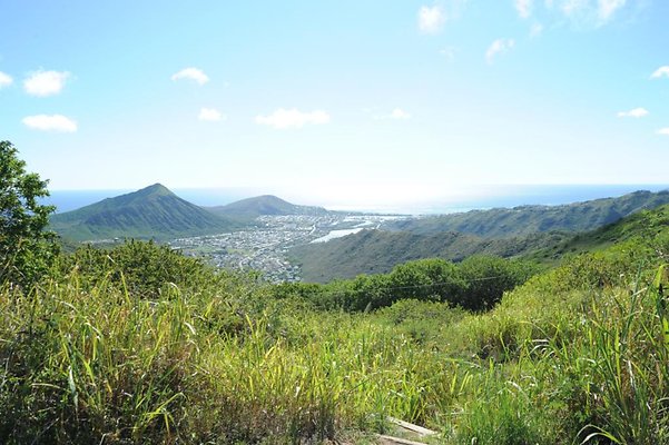 th DSC 8266 th DSC 8266