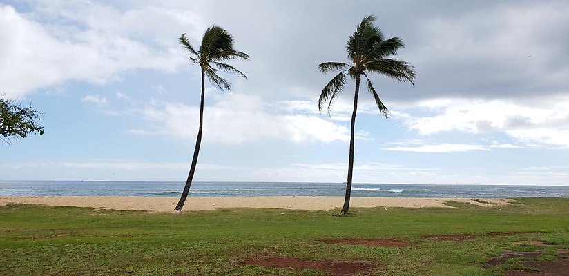 th 20181101 134911 th 20181101 134911