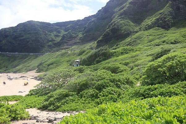 th IMG 1415 th IMG 1415