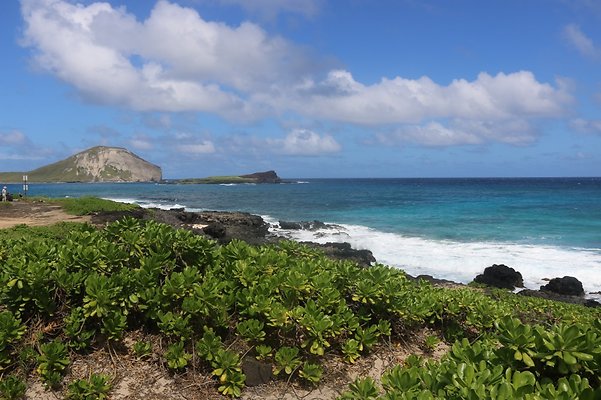 th IMG 1418 th IMG 1418