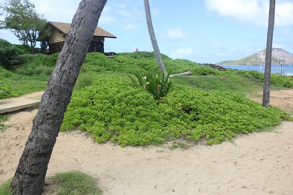 th IMG 1423 th IMG 1423