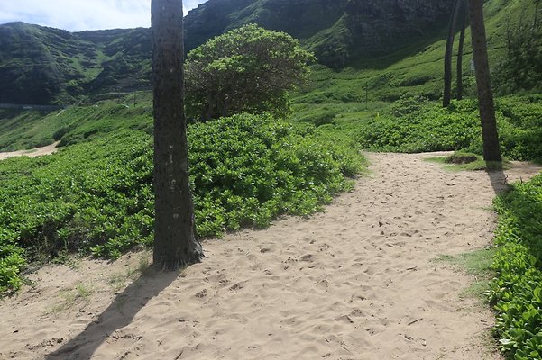 th IMG 1410 th IMG 1410