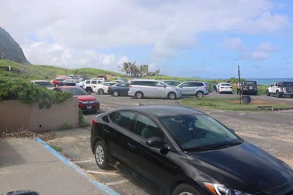 th IMG 1401 th IMG 1401