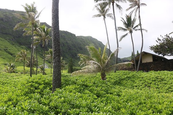 th IMG 1422 th IMG 1422