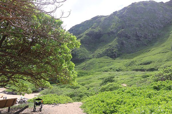 th IMG 1420 th IMG 1420