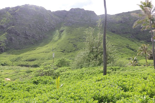 th IMG 1421 th IMG 1421