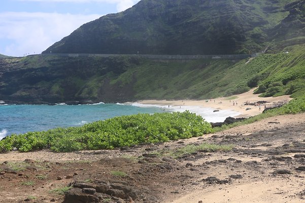 th IMG 1403 th IMG 1403